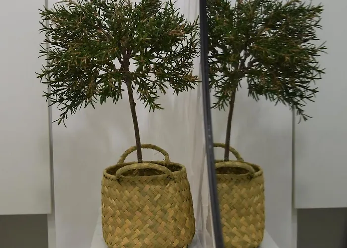 Nadmorska Szufladka * Ustka